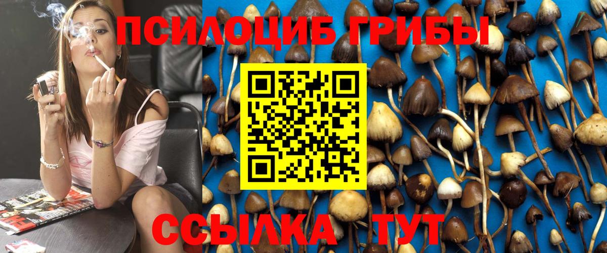 Псилоцибиновые грибы мухоморы Бутурлиновка