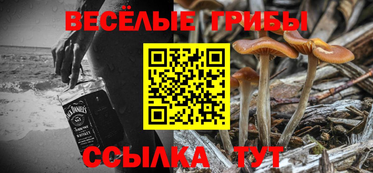 Галлюциногенные грибы GOLDEN TEACHER  Псилоцибиновые грибы ЛСД  Бутурлиновка  Вход с VPN 